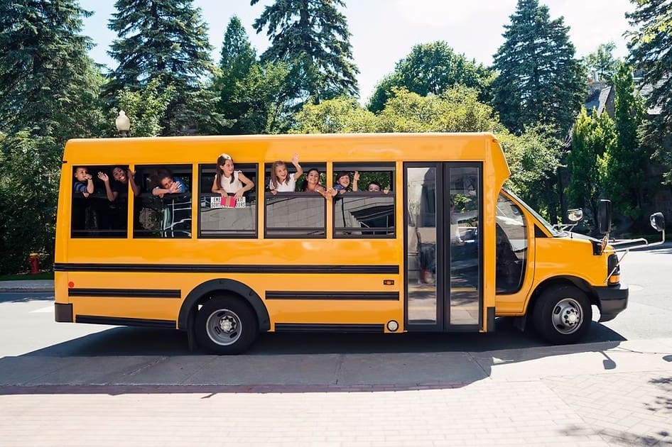 Back to school immune system